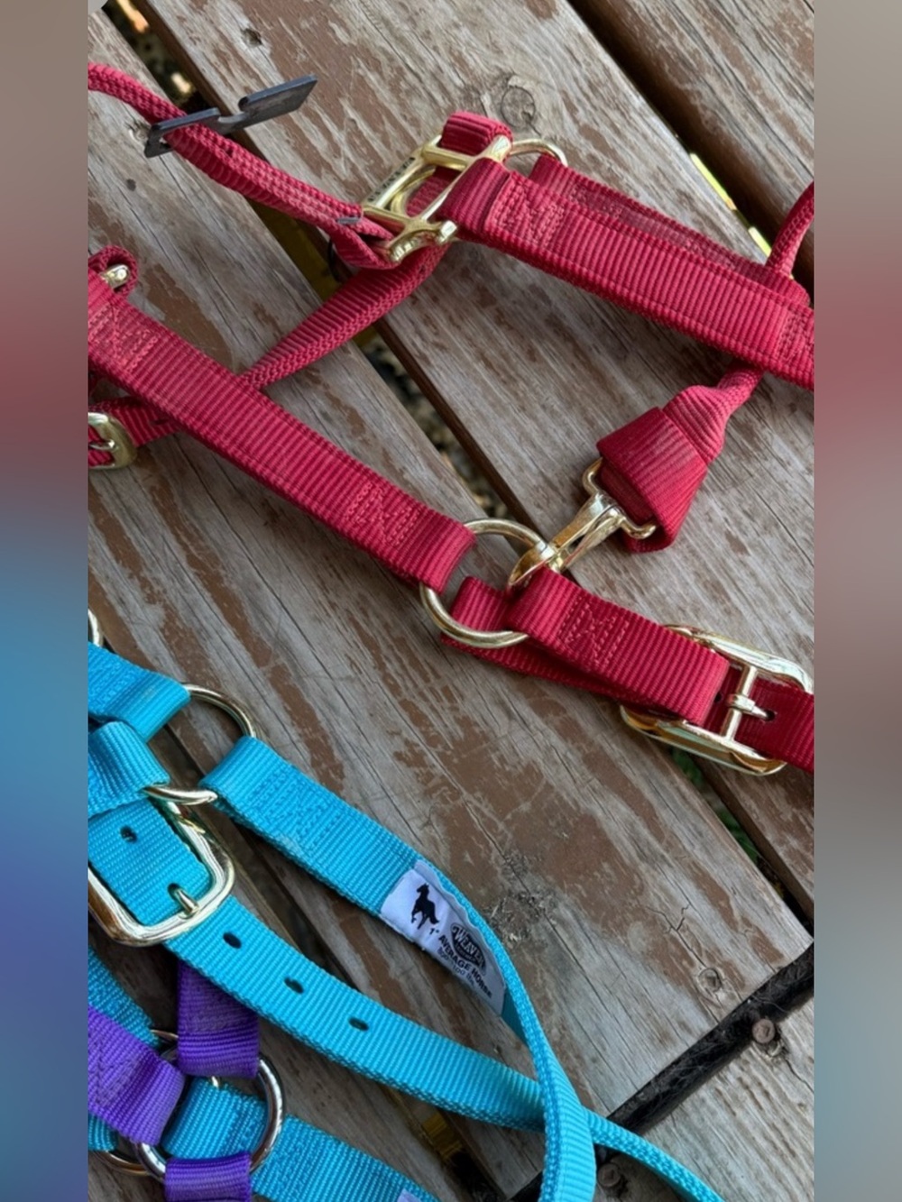 Weaver halters